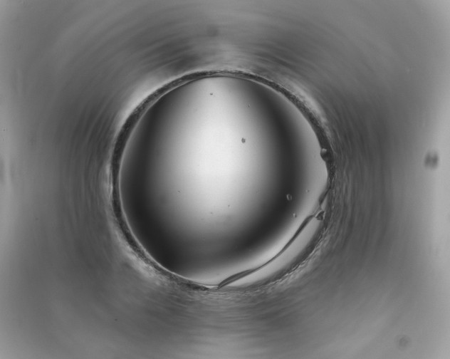 X0000091370936200708101529