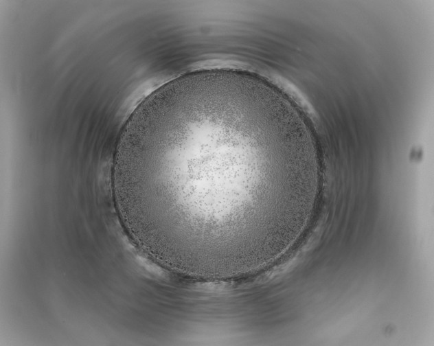 X0000091370937200708101529