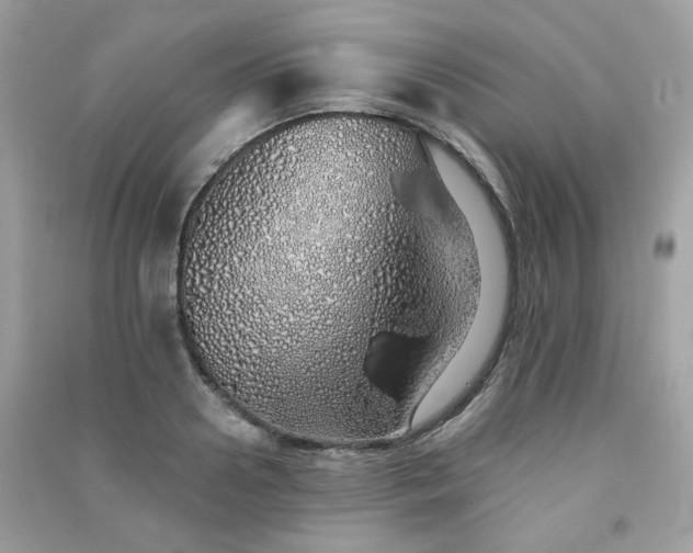 X0000091370938200708101529