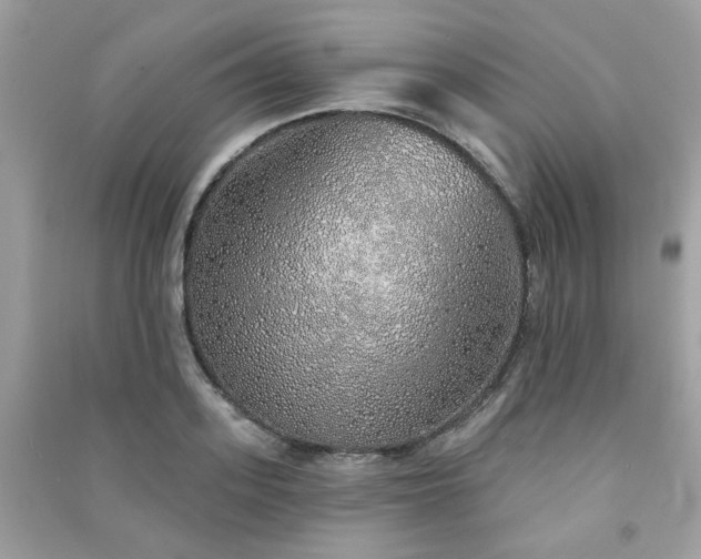 X0000091370939200708101529