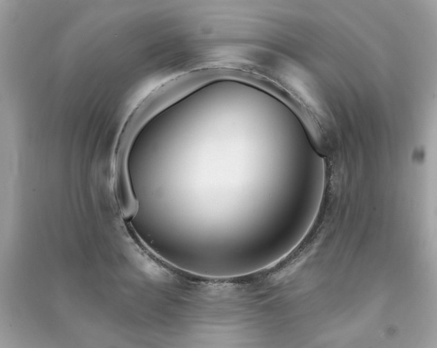 X0000091370940200708101529