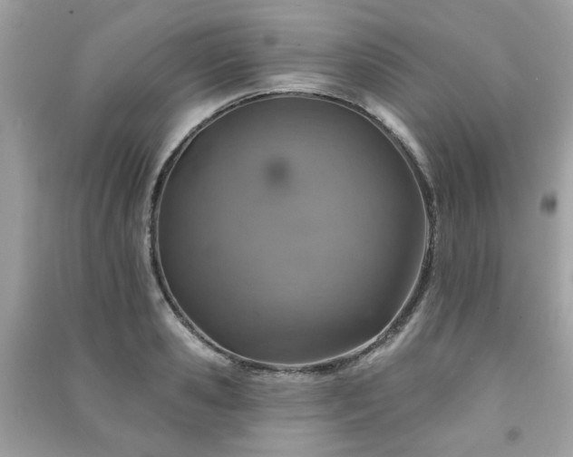 X0000091370941200708101529