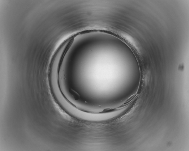 X0000091370942200708101529