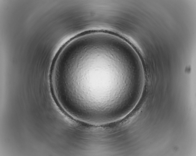 X0000091370943200708101529