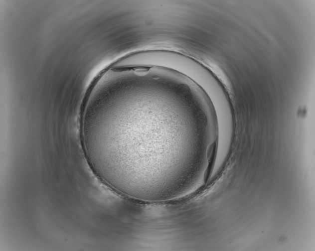 X0000091370944200708101529