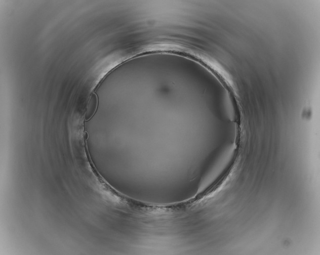 X0000091370945200708101529