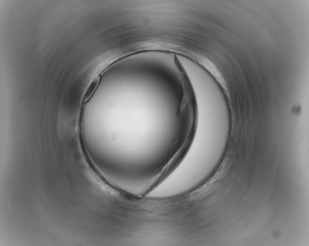 X0000091370946200708101529