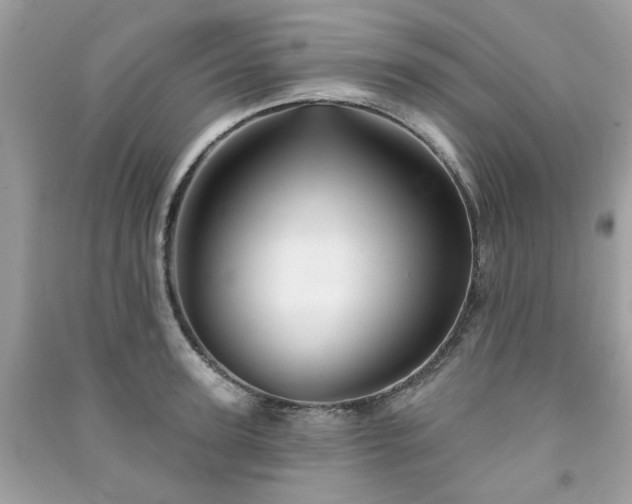 X0000091370947200708101529