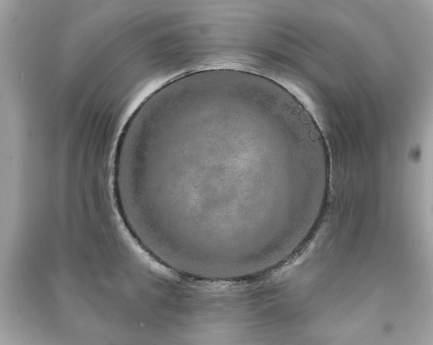 X0000091370949200708101530