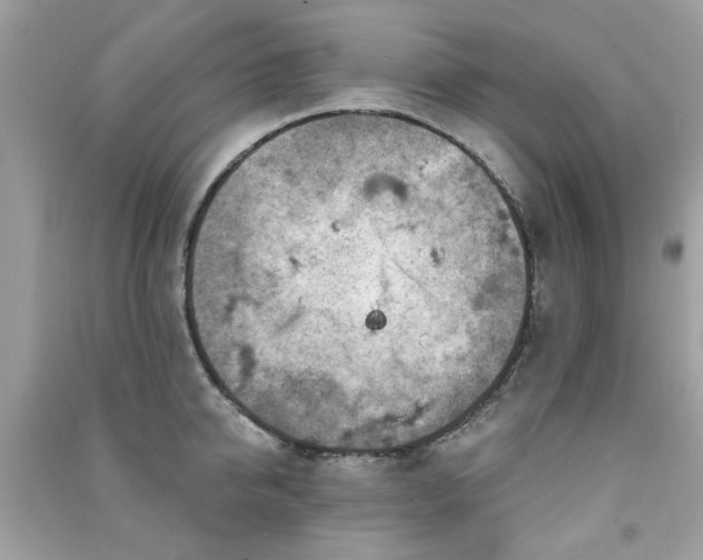 X0000091370950200708101530