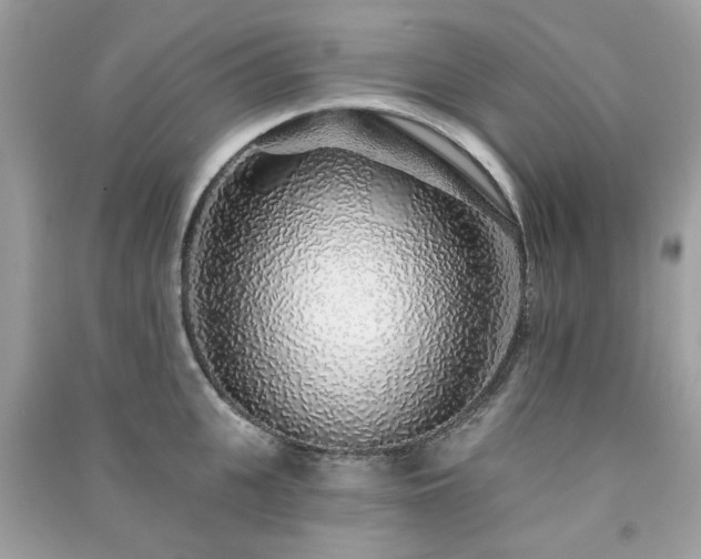 X0000091370951200708101530