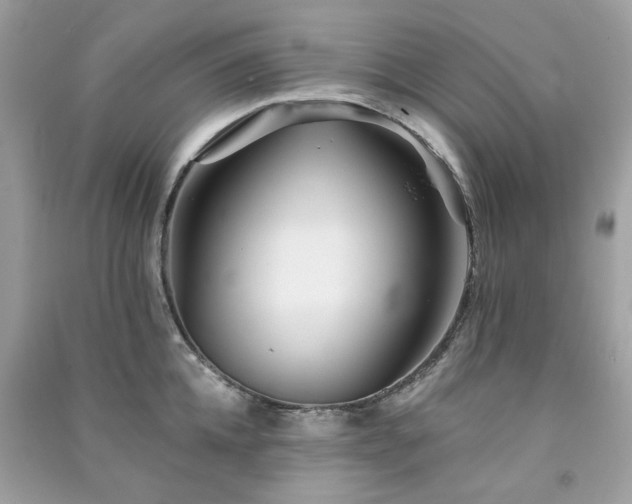 X0000091370952200708101530