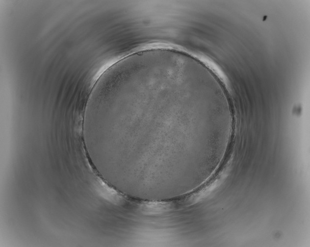 X0000091370953200708101530