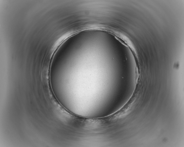 X0000091370954200708101530