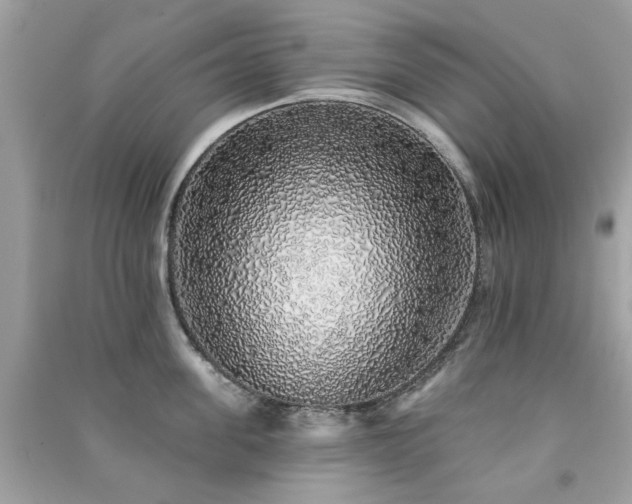 X0000091370955200708101530