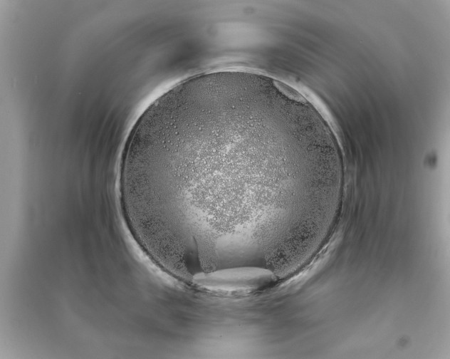 X0000091370957200708101530