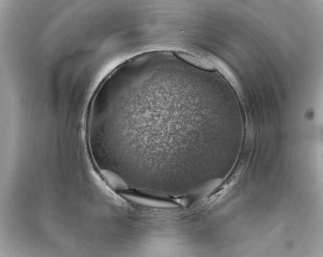 X0000091370958200708101530