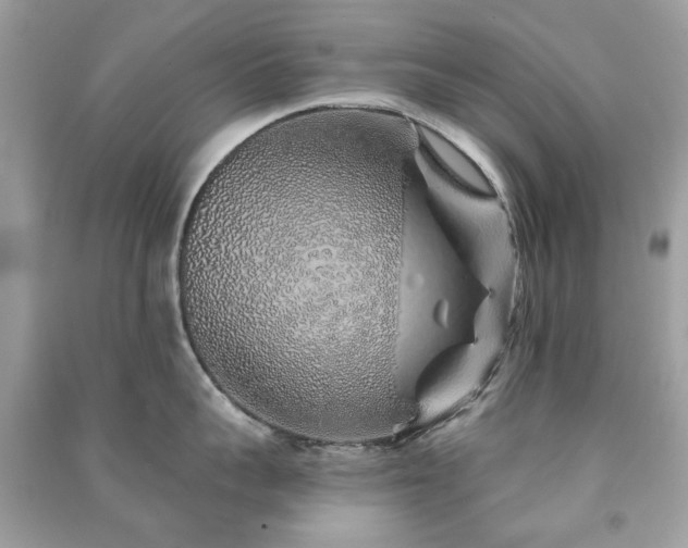 X0000091370959200708101530