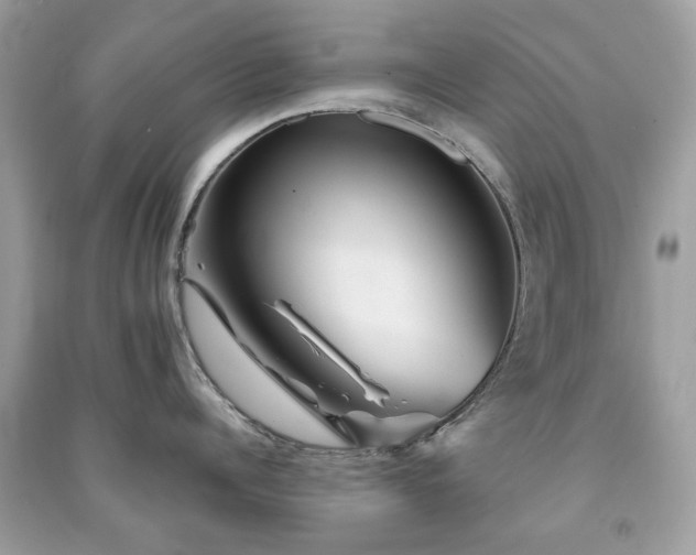 X0000091370960200708101530