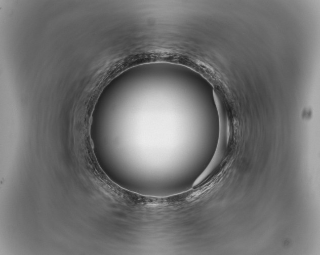 X0000091370961200708101529