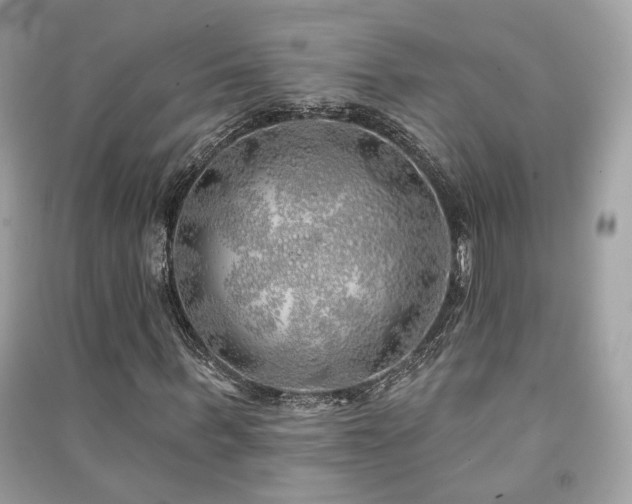 X0000091370963200708101529