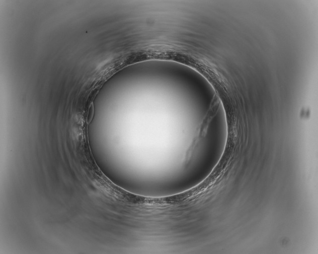 X0000091370964200708101529