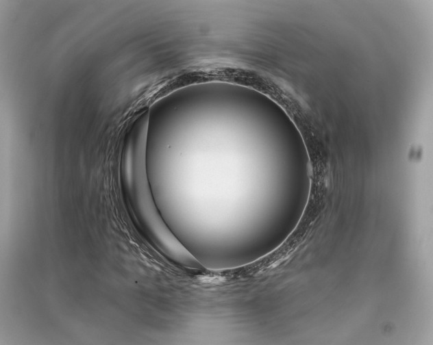 X0000091370965200708101529