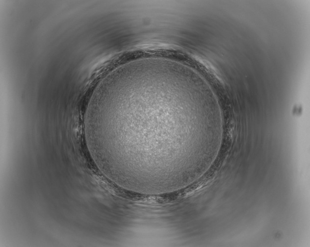 X0000091370966200708101529