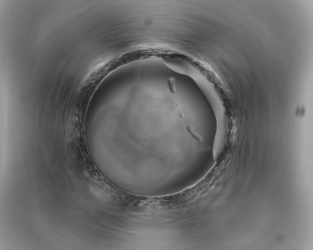 X0000091370967200708101529