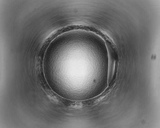 X0000091370968200708101529