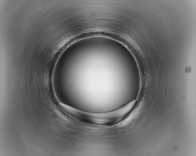 X0000091370969200708101529