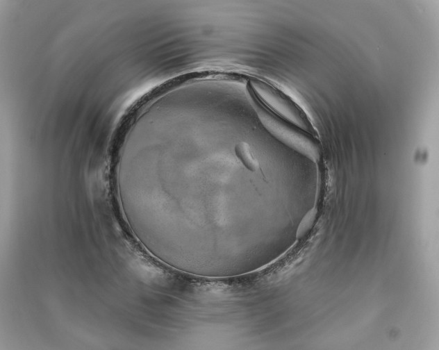 X0000091370971200708101529