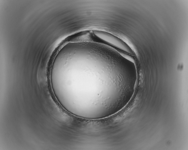 X0000091370972200708101529