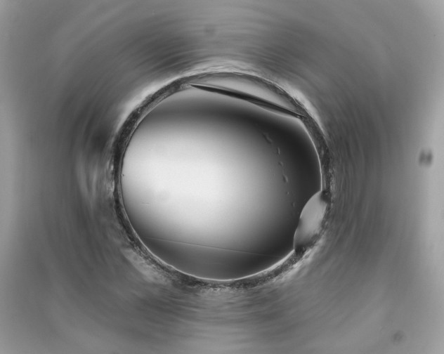 X0000091370973200708101529