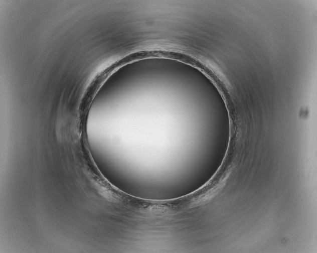 X0000091370974200708101529