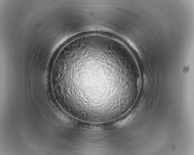 X0000091370975200708101529