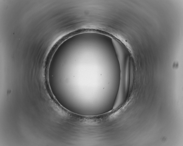 X0000091370976200708101529