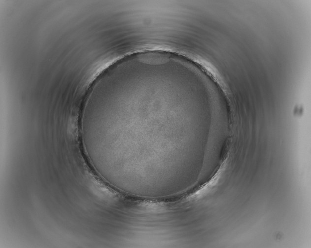 X0000091370977200708101529