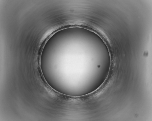 X0000091370978200708101529