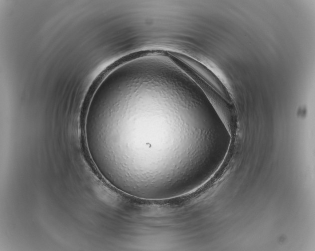 X0000091370980200708101529