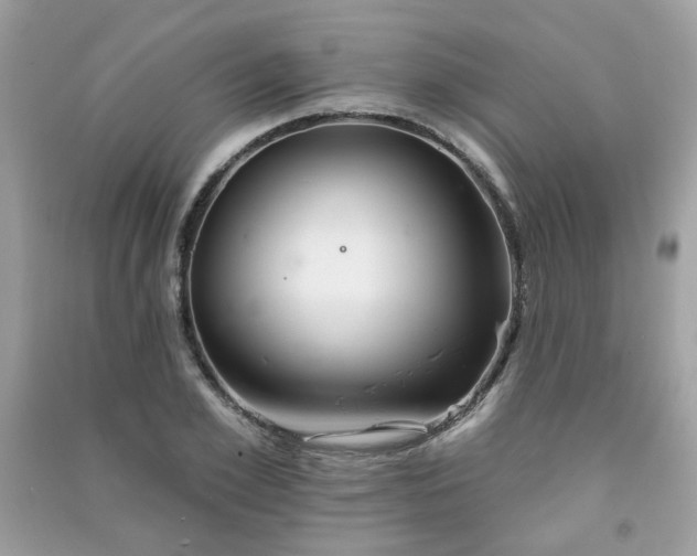 X0000091370981200708101529