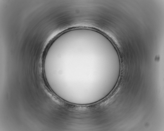 X0000091370982200708101529