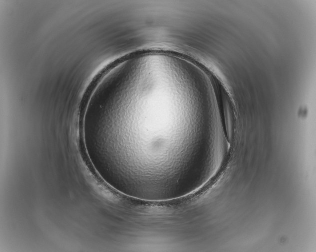 X0000091370984200708101529