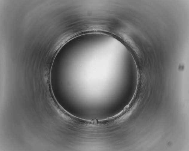 X0000091370985200708101529