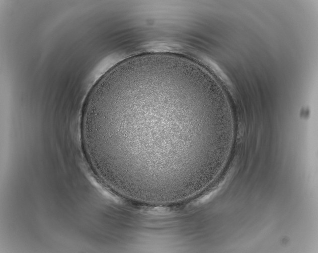 X0000091370986200708101529