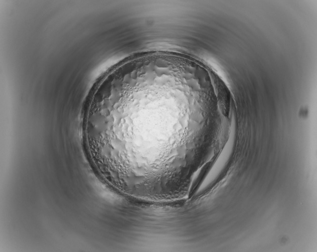 X0000091370987200708101529