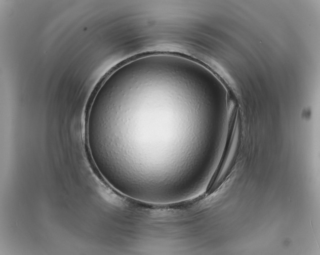 X0000091370988200708101529