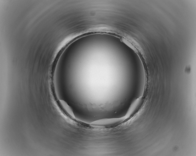 X0000091370989200708101529