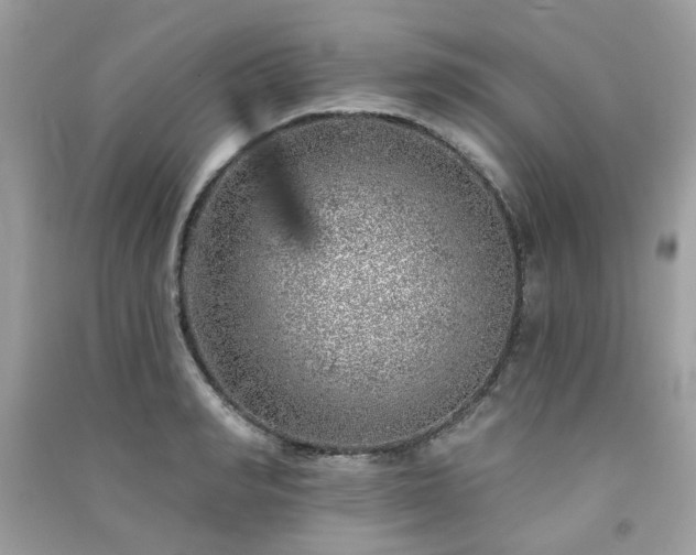 X0000091370990200708101529