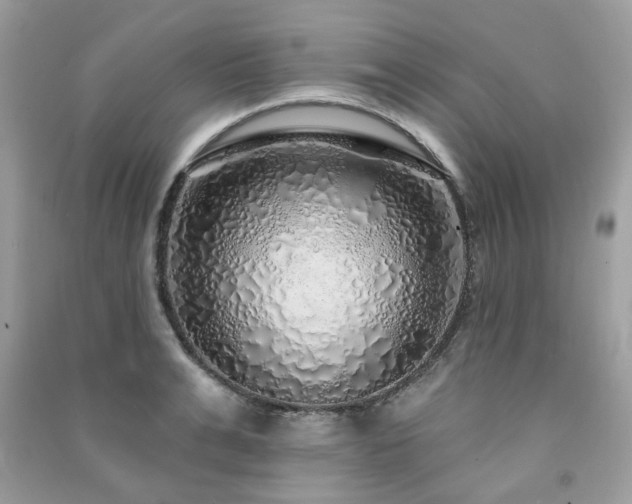 X0000091370991200708101529